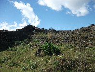 iara Scorciavacca-20110306 022